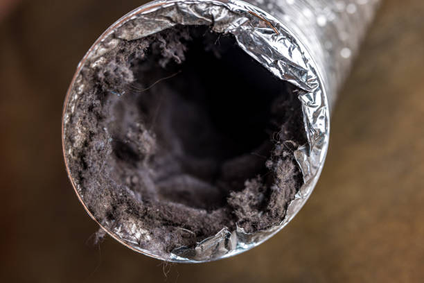Best Duct Cleaning for Homes  in Clayton, DE